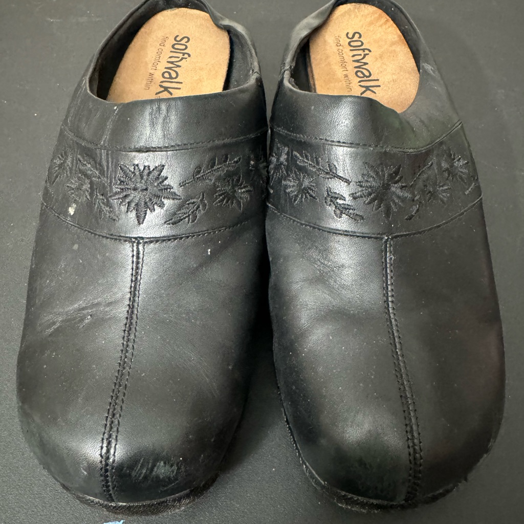 Softwalk Men's Black Leather Shoes